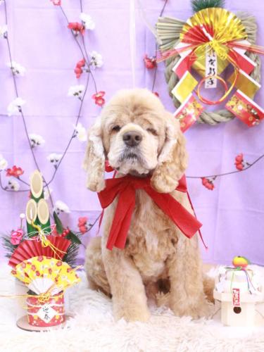 20230129コウくん